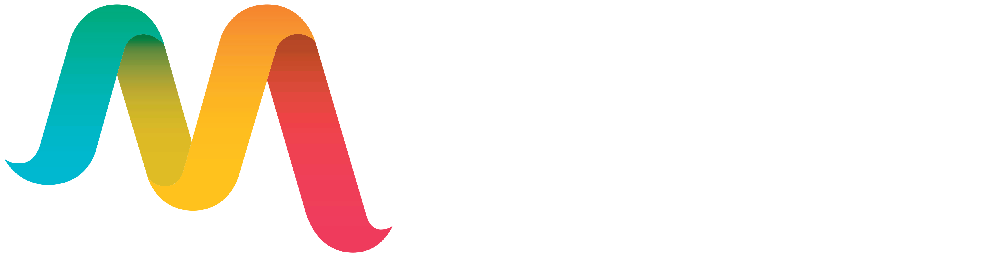Logo-Megavale-horizontal-colorido texto branco